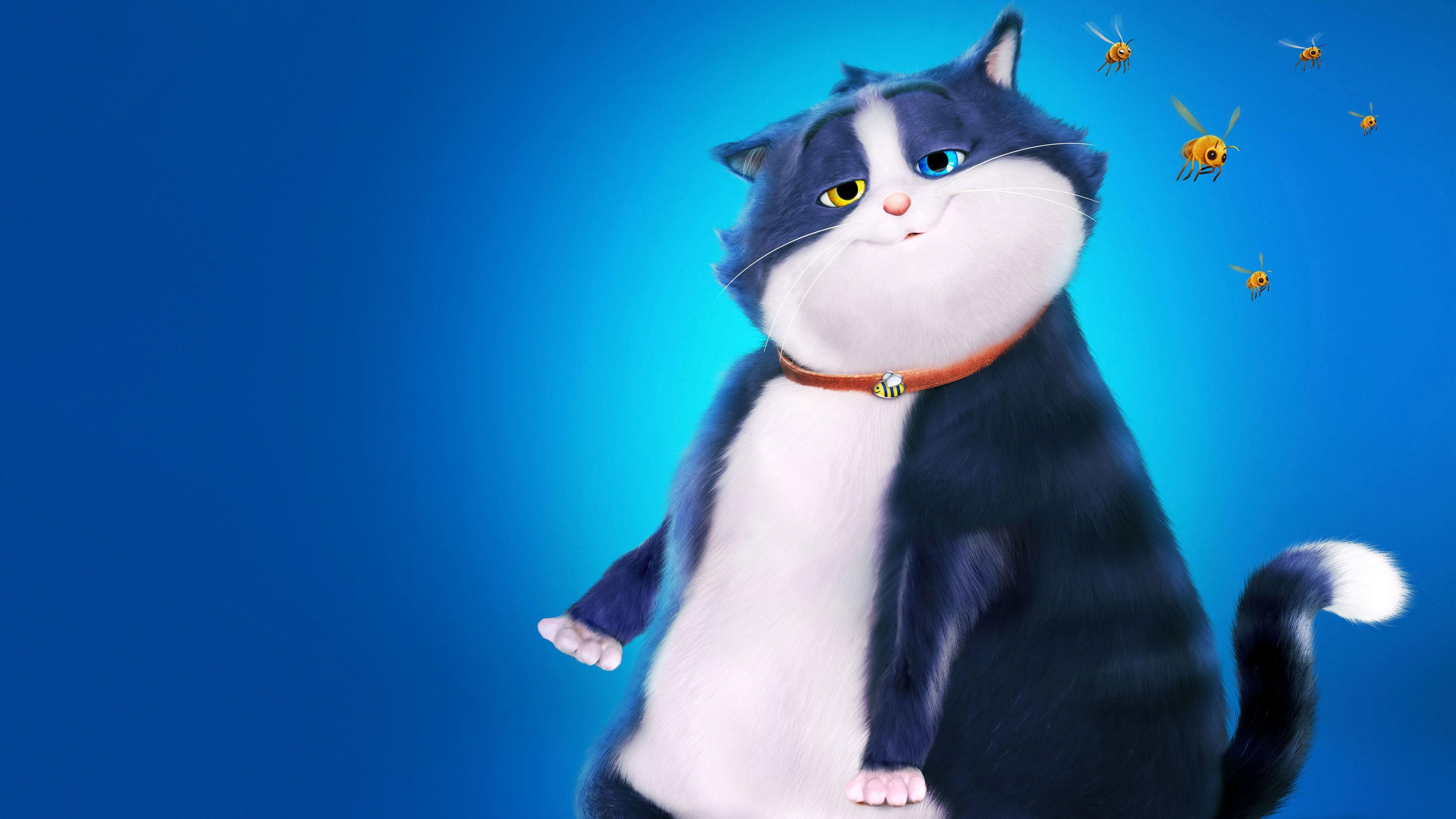 Mèo Mập Mang 10 Mạng - 10 Lives
